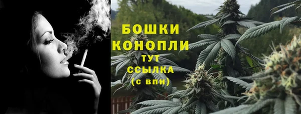 твердый Вяземский