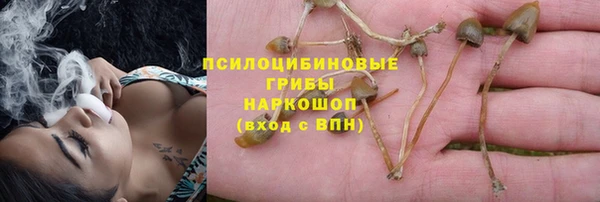 спайс Вязьма