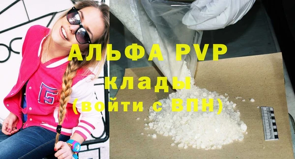твердый Вяземский