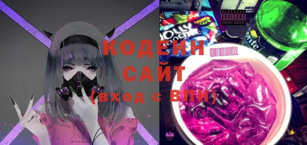 твердый Вяземский
