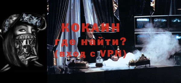 твердый Вяземский