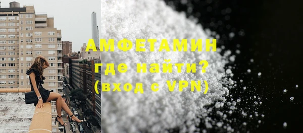 твердый Вяземский