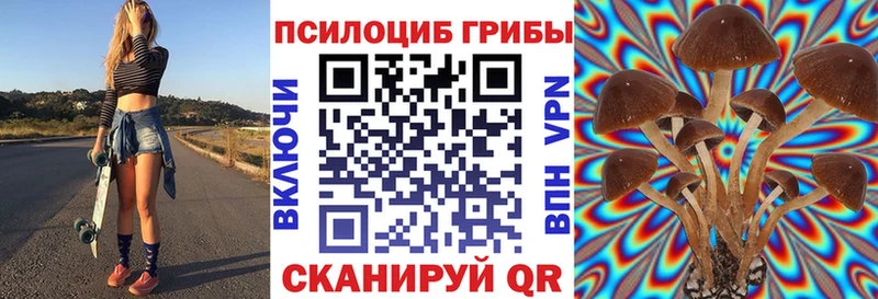 Псилоцибиновые грибы прущие грибы  Купить закладки  Нарткала 