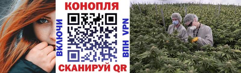 Купить закладки  Нарткала  Конопля тримм 